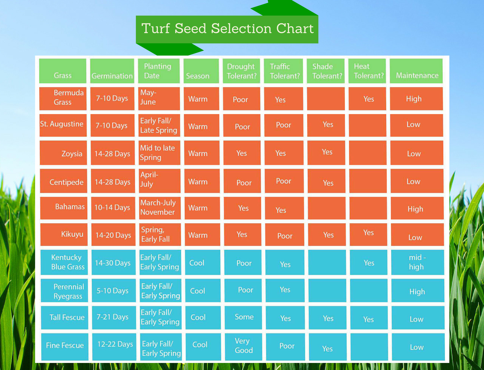7 Steps To A Better Lawn Northeast Nursery